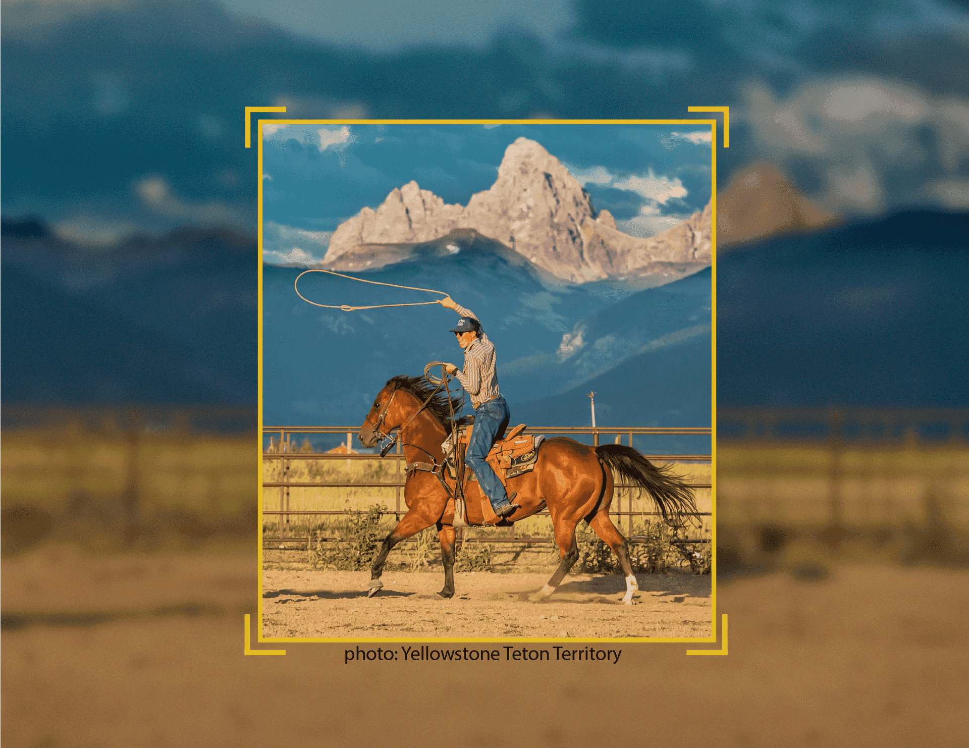 rodeo horse and roper with text Focus on the View: Stay for the Adventure