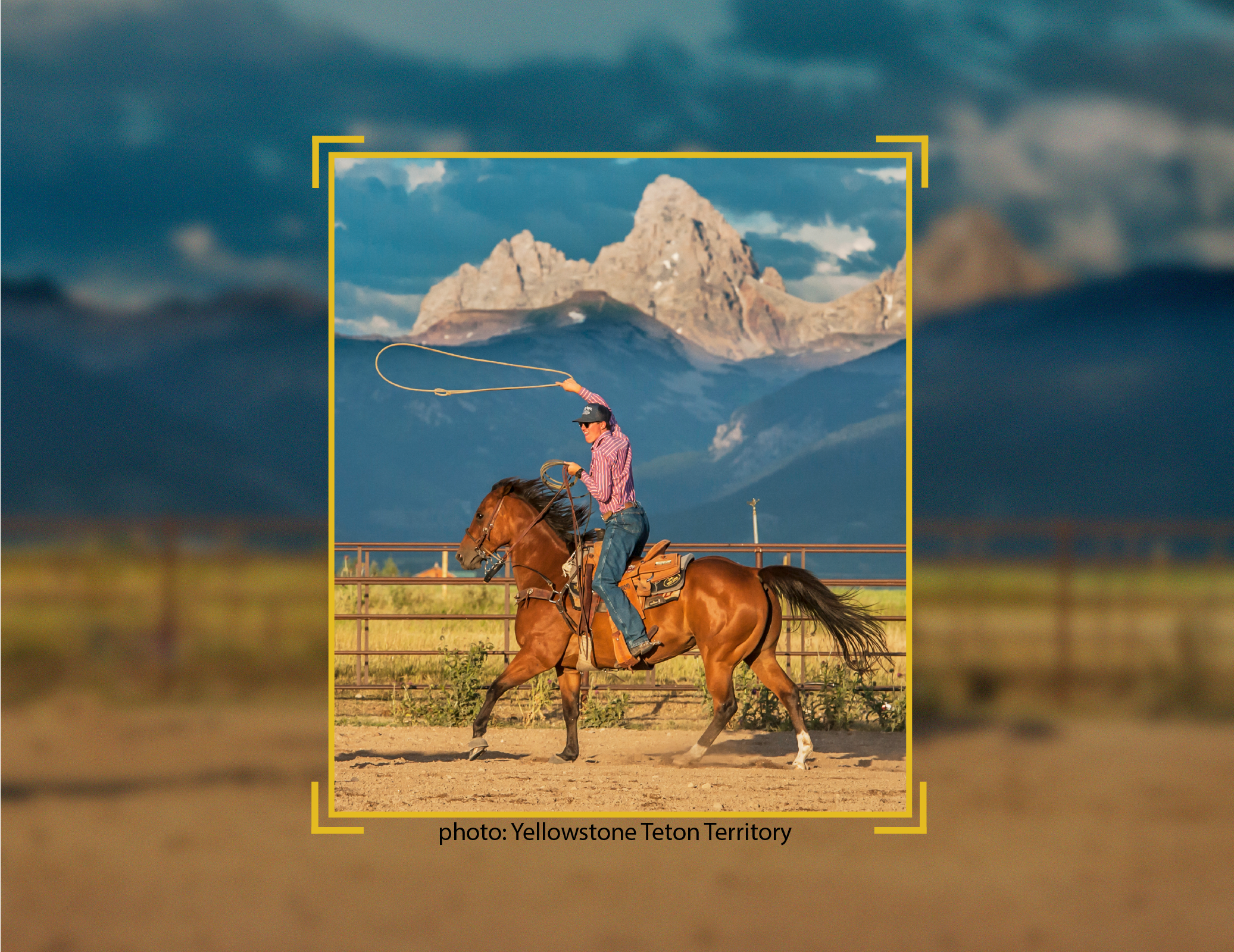 rodeo horse and roper with text Focus on the View: Stay for the Adventure